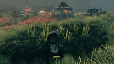 valheim guides