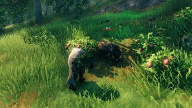 valheim guides