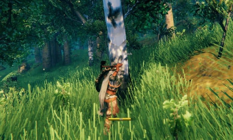 valheim guides