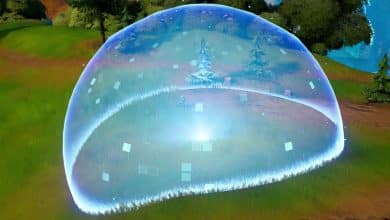 Fortnite Shield Bubble