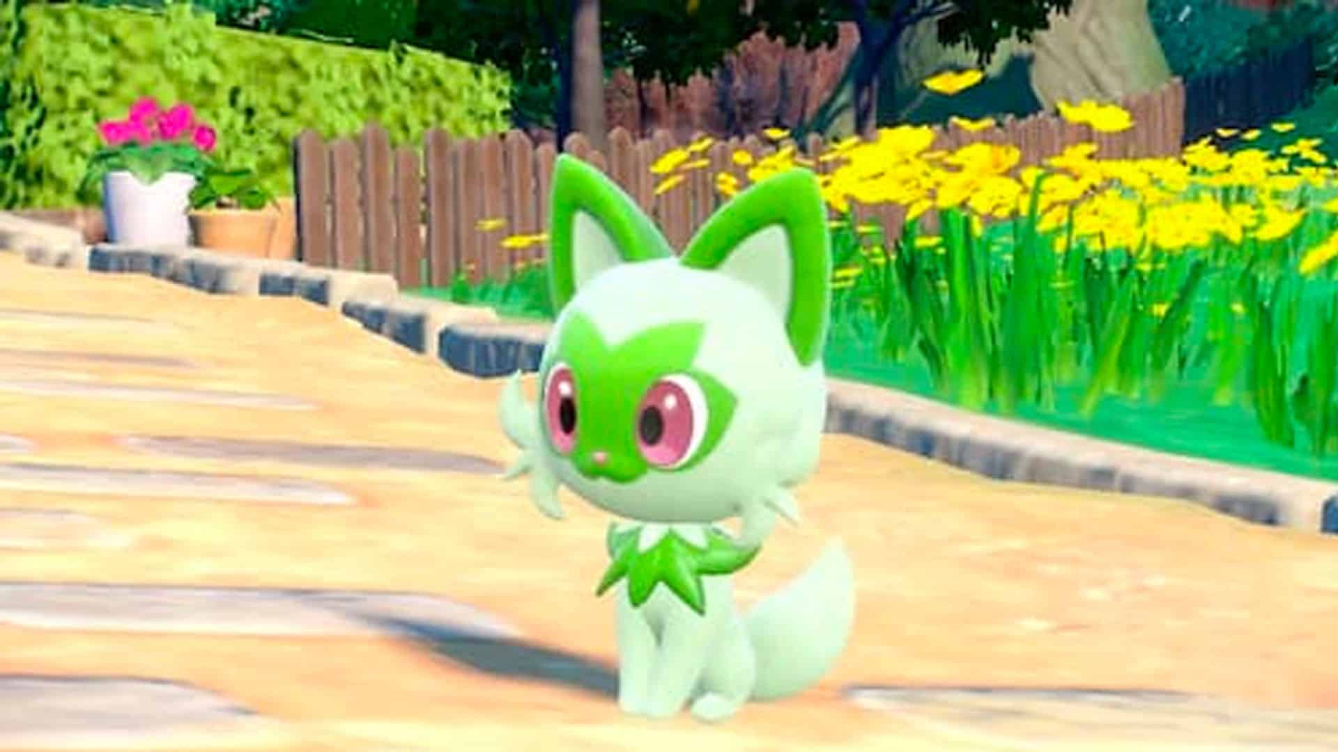 Sprigatito, le chat d'herbe Pokemon Scarlet et Violet Starters