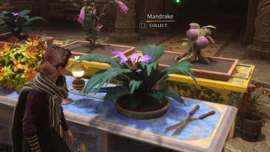 Growing a Mandrake in Hogwarts Legacy