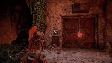 Finding the A Friend in the Dark code in Horizon Forbidden West Burning Shores