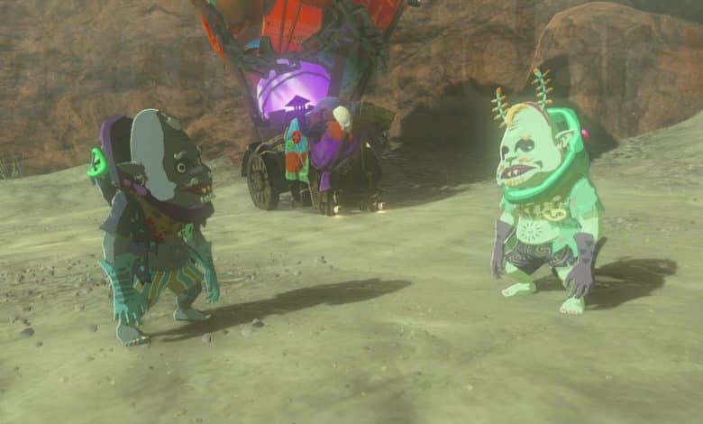 Koltin and Kilton in Zelda Tears of the Kingdom