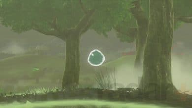 A geoglyph dragon tear in Zelda Tears of the Kingdom