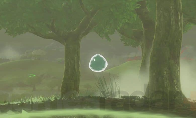 A geoglyph dragon tear in Zelda Tears of the Kingdom