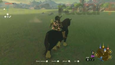 Zelda Tears of the Kingdom horses and riding