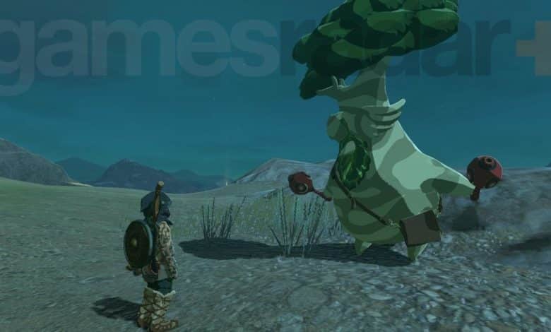 Zelda Tears of the Kingdom Hestu locations