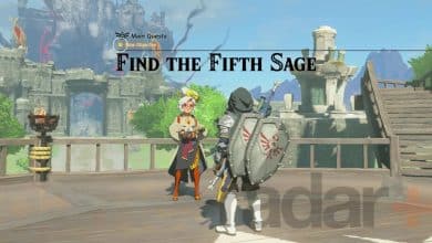 Zelda Tears of the Kingdom Fifth Sage