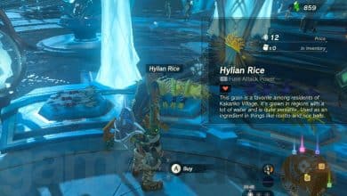 Zelda Tears of the Kingdom hylian rice for sale in Zora
