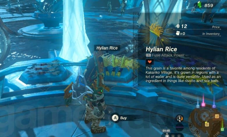 Zelda Tears of the Kingdom hylian rice for sale in Zora