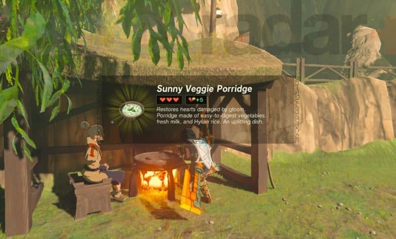 Zelda Tears of the Kingdom Gloom Borne Illness sunny veggie porridge