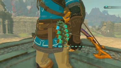 Link upgrades the Battery in Zelda Tears of the Kingdom