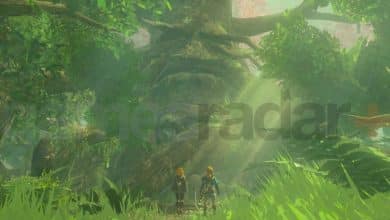 Lost Woods Zelda Tears of the Kingdom