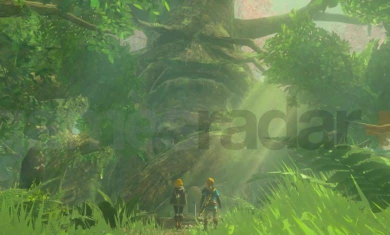 Lost Woods Zelda Tears of the Kingdom
