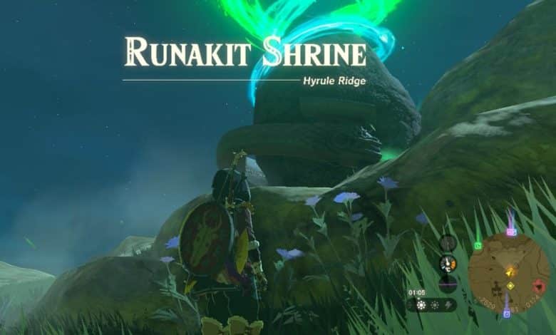 Zelda Tears of the Kingdom Runakit Shrine