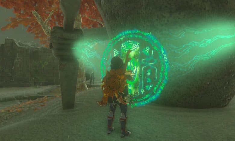 Zelda Tears of the Kingdom Domizuin Shrine