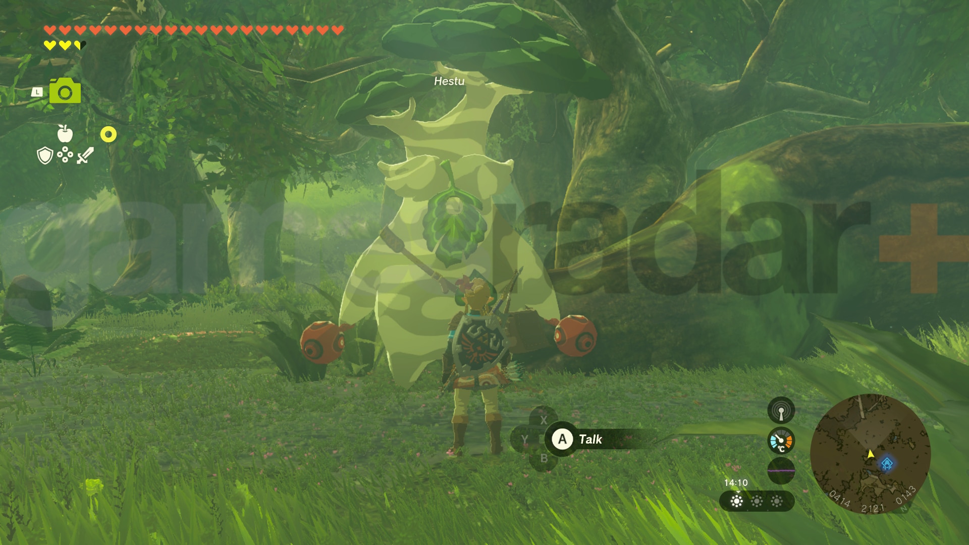 graines de korok zelda les larmes du royaume