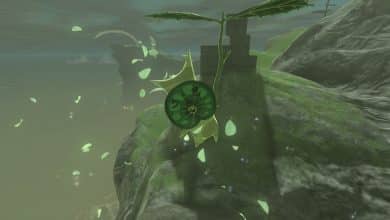 korok seeds zelda tears of the kingdom