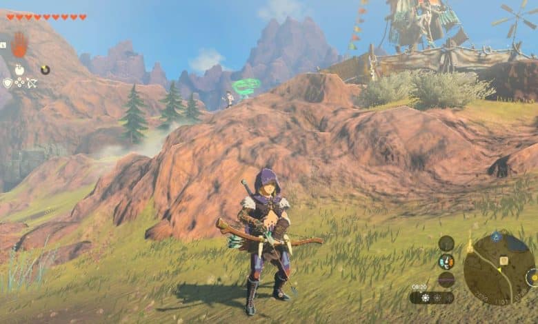 Zelda Tears of the Kingdom dupe glitches