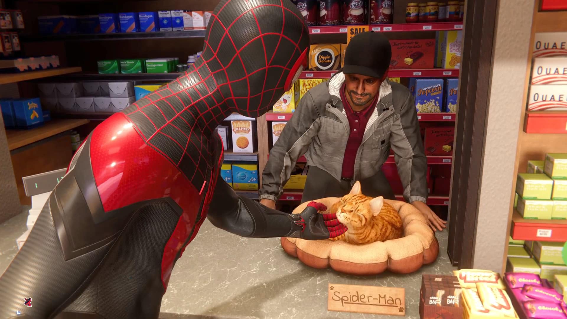 Spider-man milles morales chat araignée