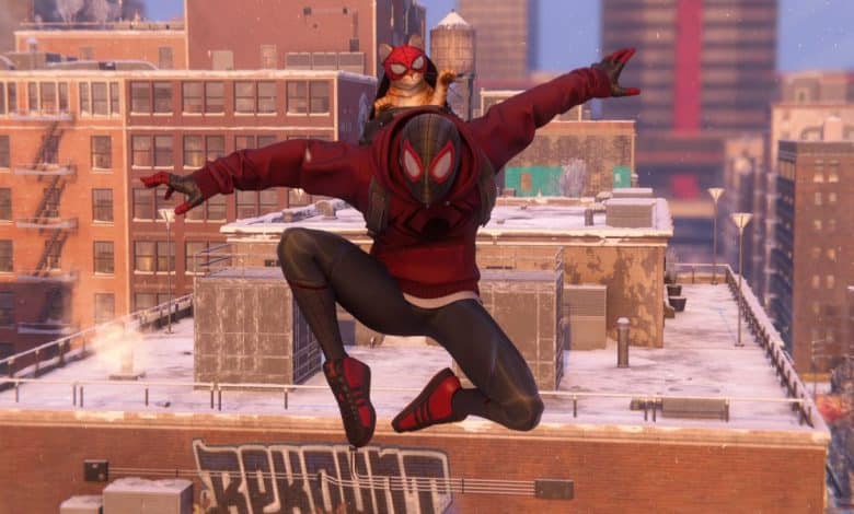 Spider-Man Miles Morales Cat suit