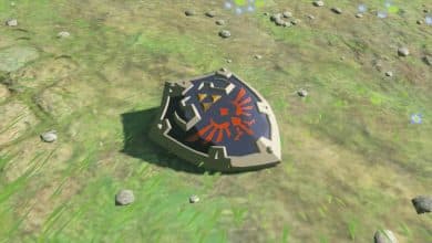 Zelda Tears of the Kingdom Hylian Shield