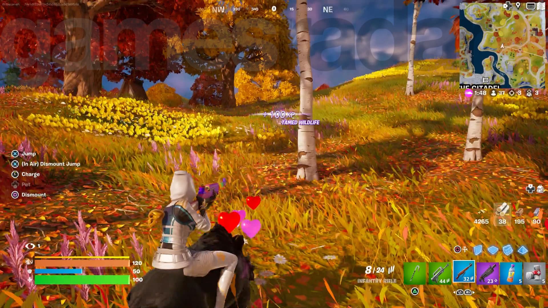 Apprivoiser un sanglier en le montant dans Fortnite