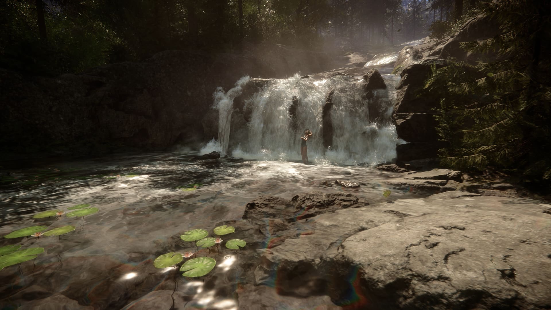 Cascade des fils de la forêt