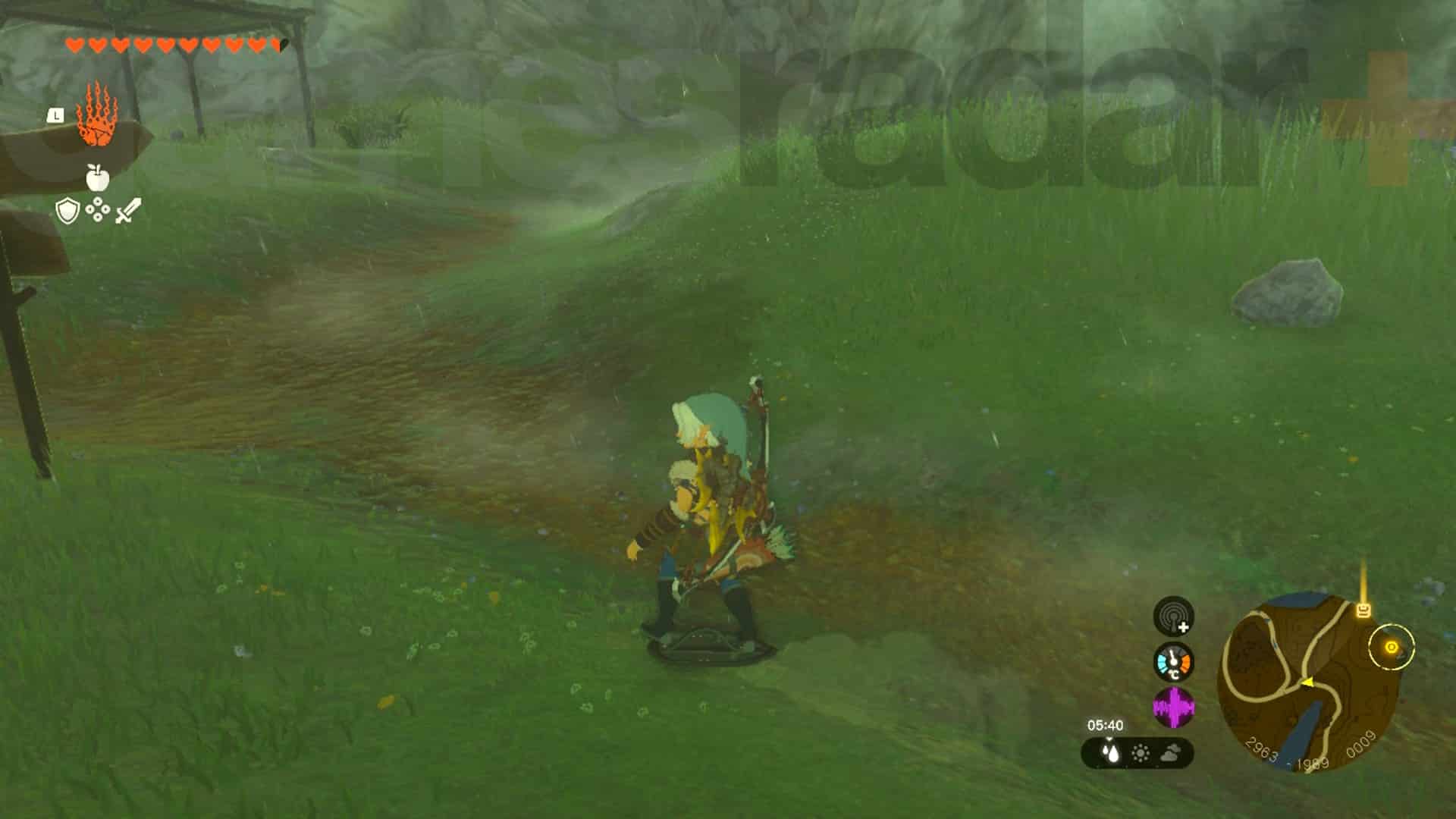 Zelda Tears of the Kingdom bouclier surfant